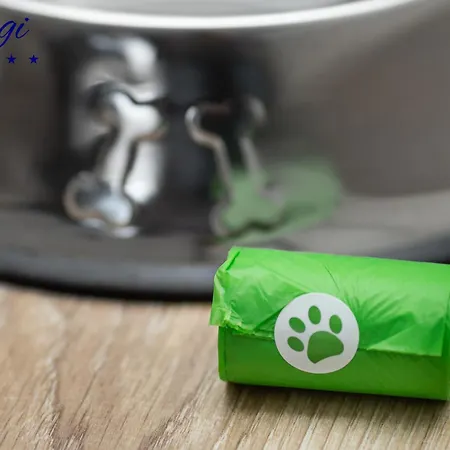 Margi Whisky Lux Aircon * Щецин