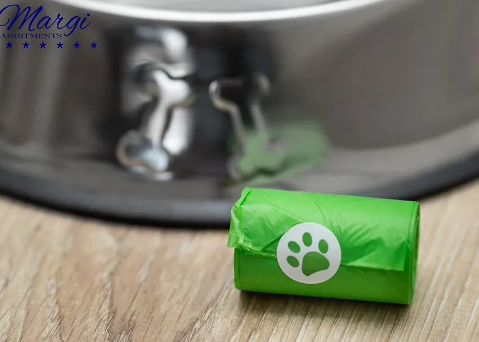 Margi Whisky Lux Aircon * Щецин